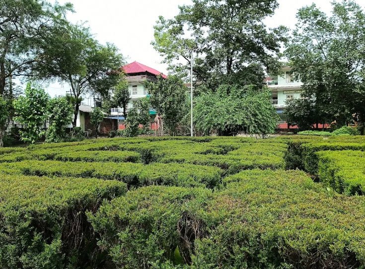 Gandhi Park, Gandhi Marg, Lakhimpur, Assam - Vushii.com Gandhi Park, Gandhi Marg, Lakhimpur, Assam - Vushii.com